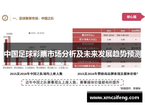 中国足球彩票市场分析及未来发展趋势预测